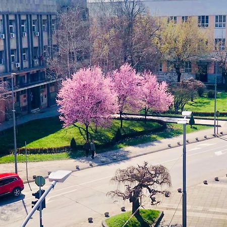 Bella Apartments Kruševac المظهر الخارجي الصورة